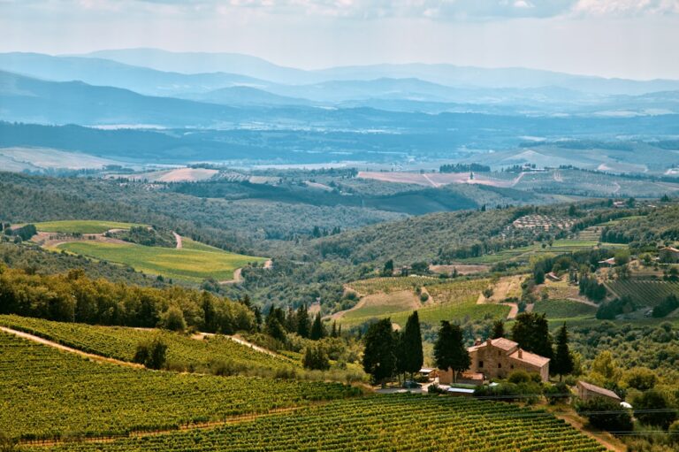 Photo Mountain view