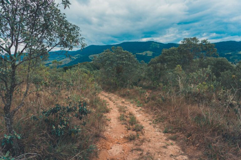 Estrada de montanha cercada por mata, imagem ilustrativa de ecoturismo