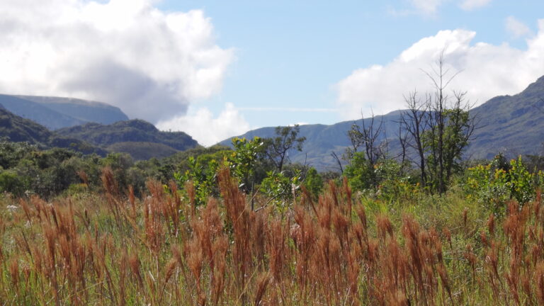 Trilha no Parque Nacional da Serra do Cipó, em Minas Gerais