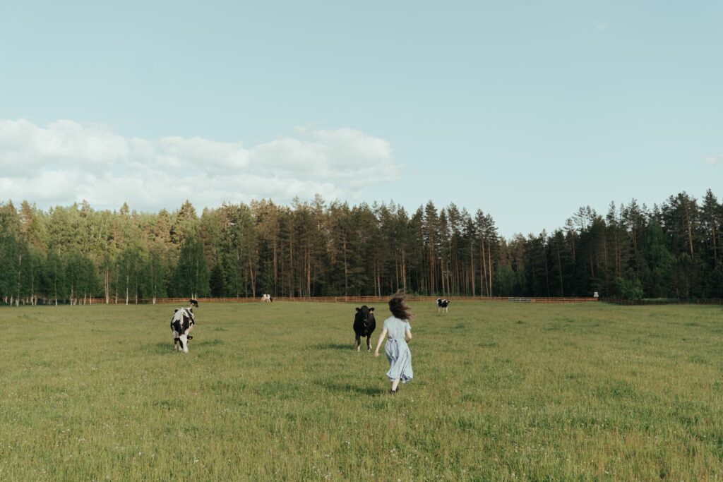 Criança caminhando em campo com vacas, imagem ilustrativa de turismo rural