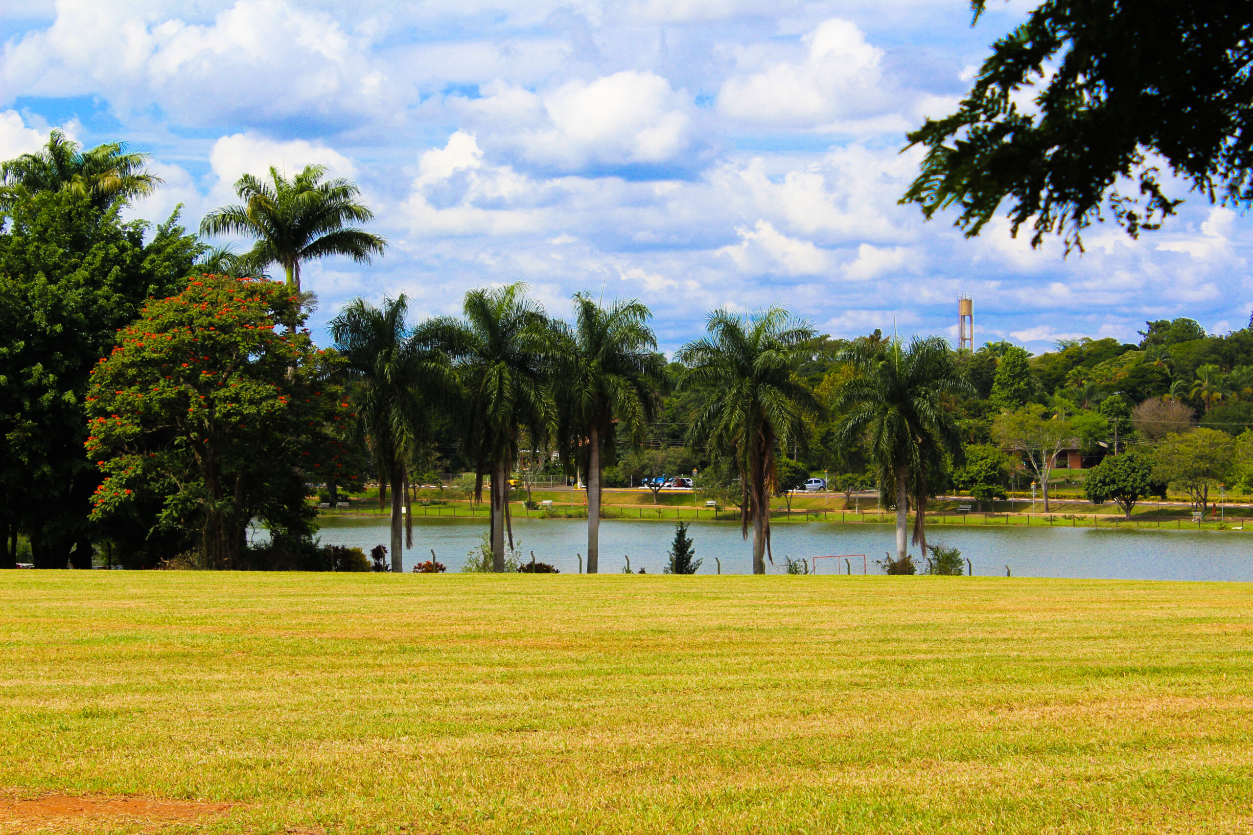 Paisagem de Holambra, cidade das flores no interior de São Paulo