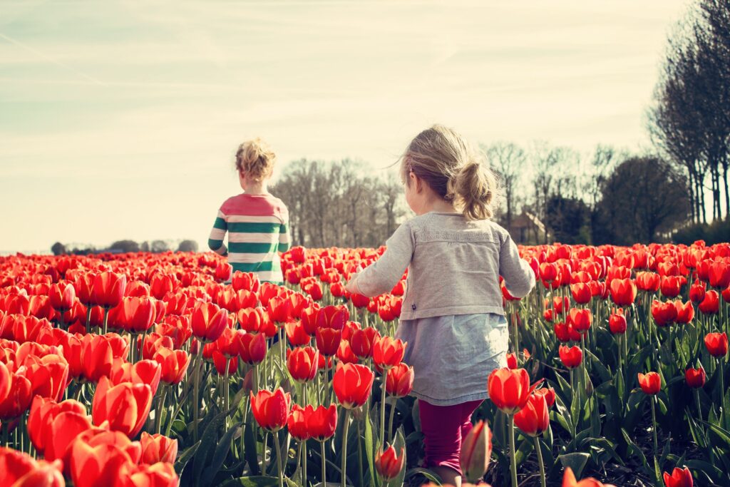 Crianças caminhando entre flores, imagem ilustrativa de passeio em família