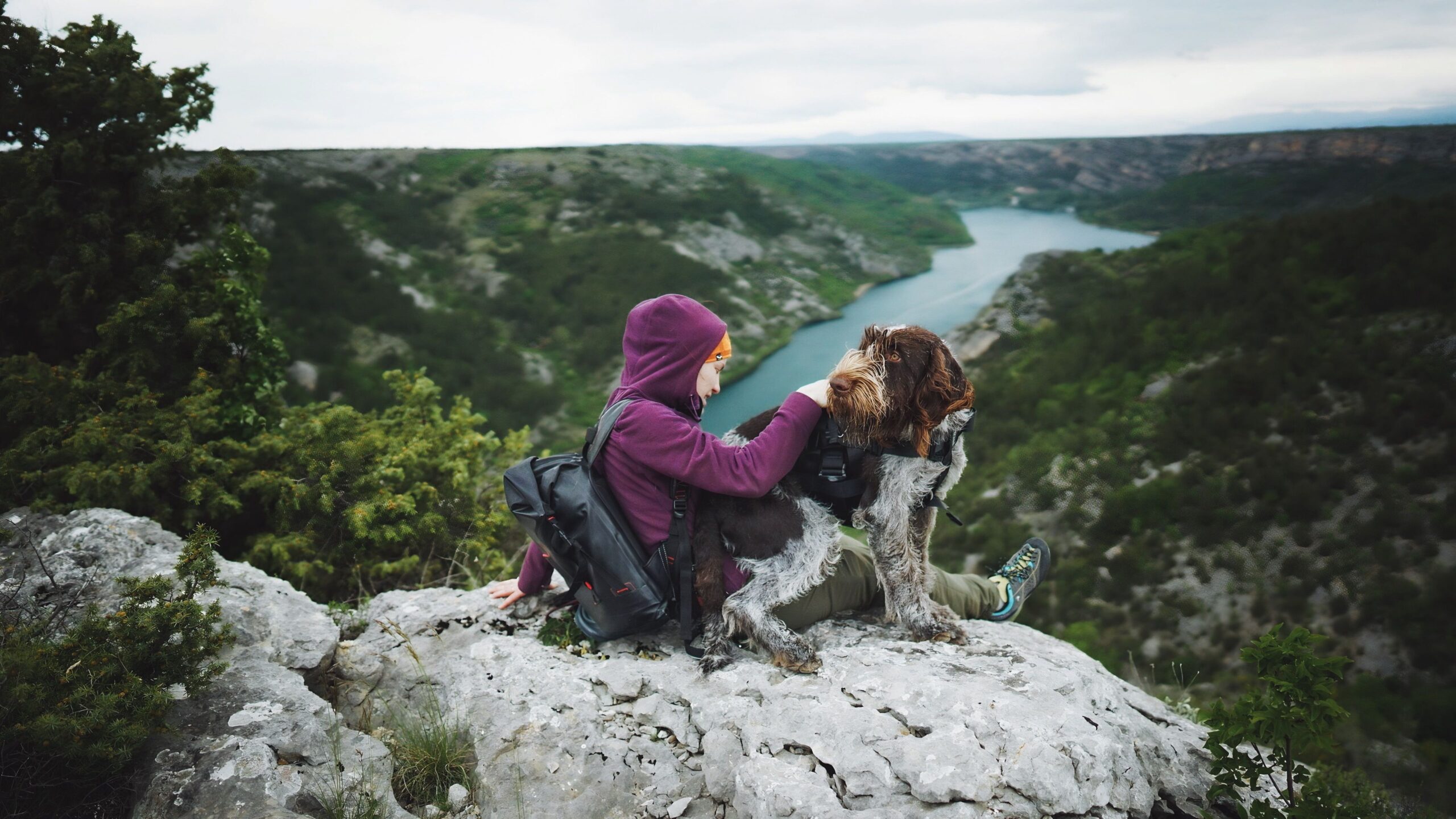 Pessoa viajando com cachorro em meio à natureza, imagem ilustrativa para turismo pet friendly em Socorro SP