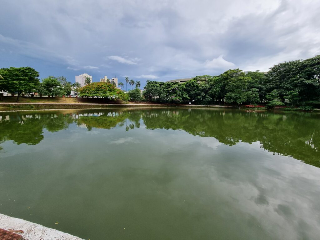Bosque dos Buritis em Goiânia, com vegetação e área verde