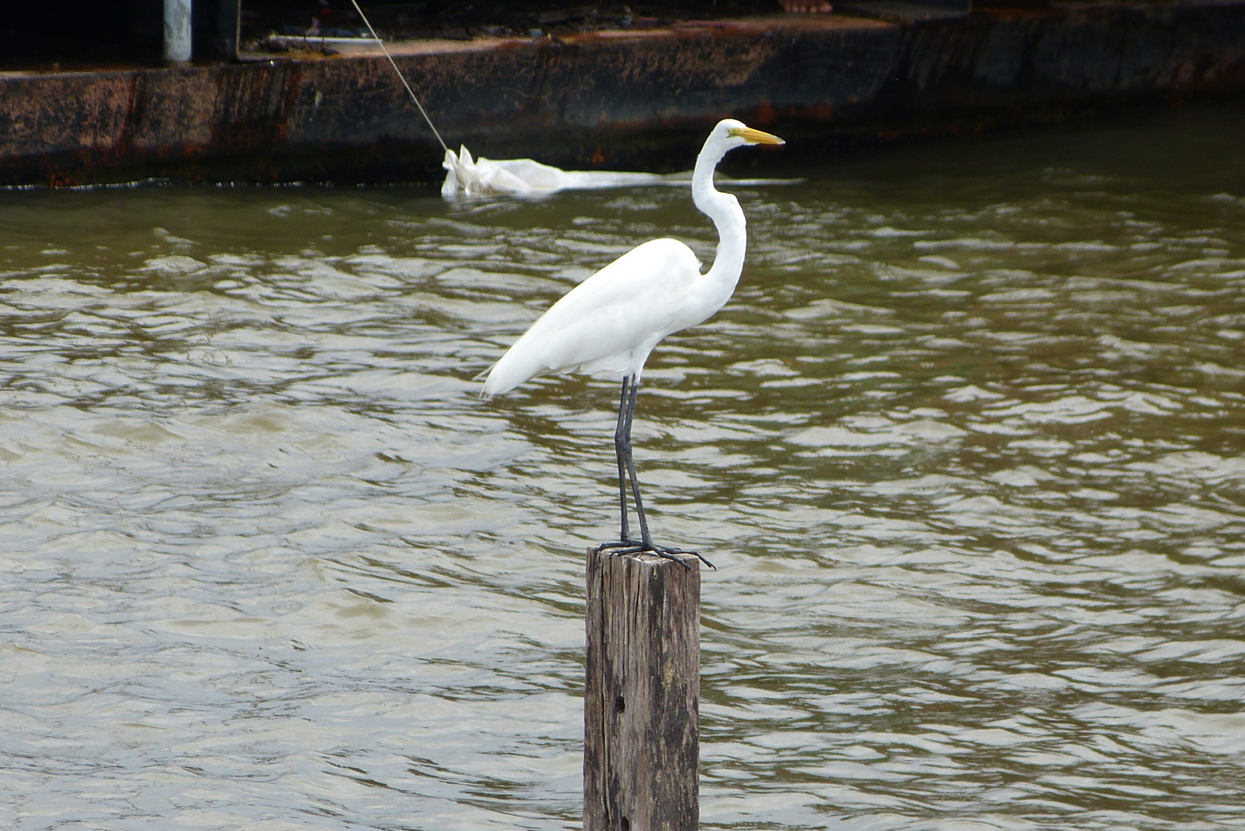 Orla de Santarém, no Pará, à margem dos rios amazônicos