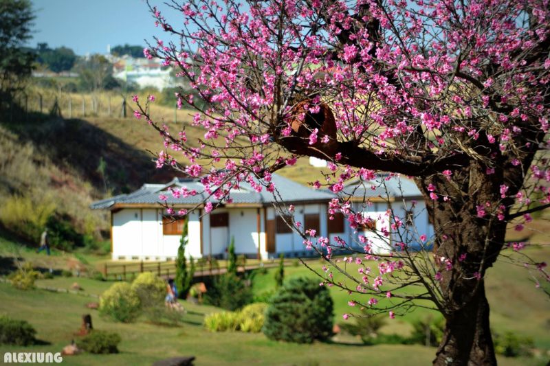 Jardins do Parque do Japão em Maringá, Paraná